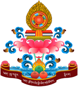 logo Dzo